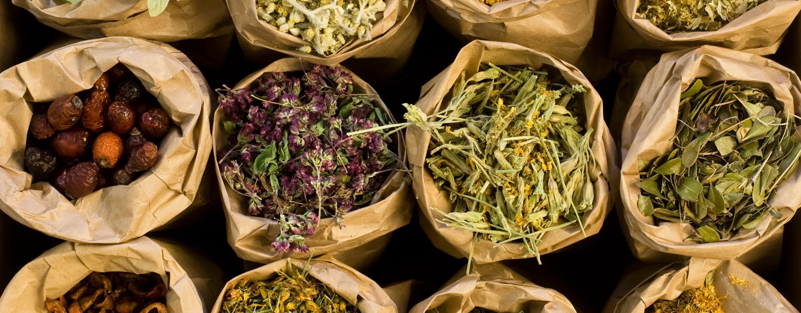 Naturopath in consultation